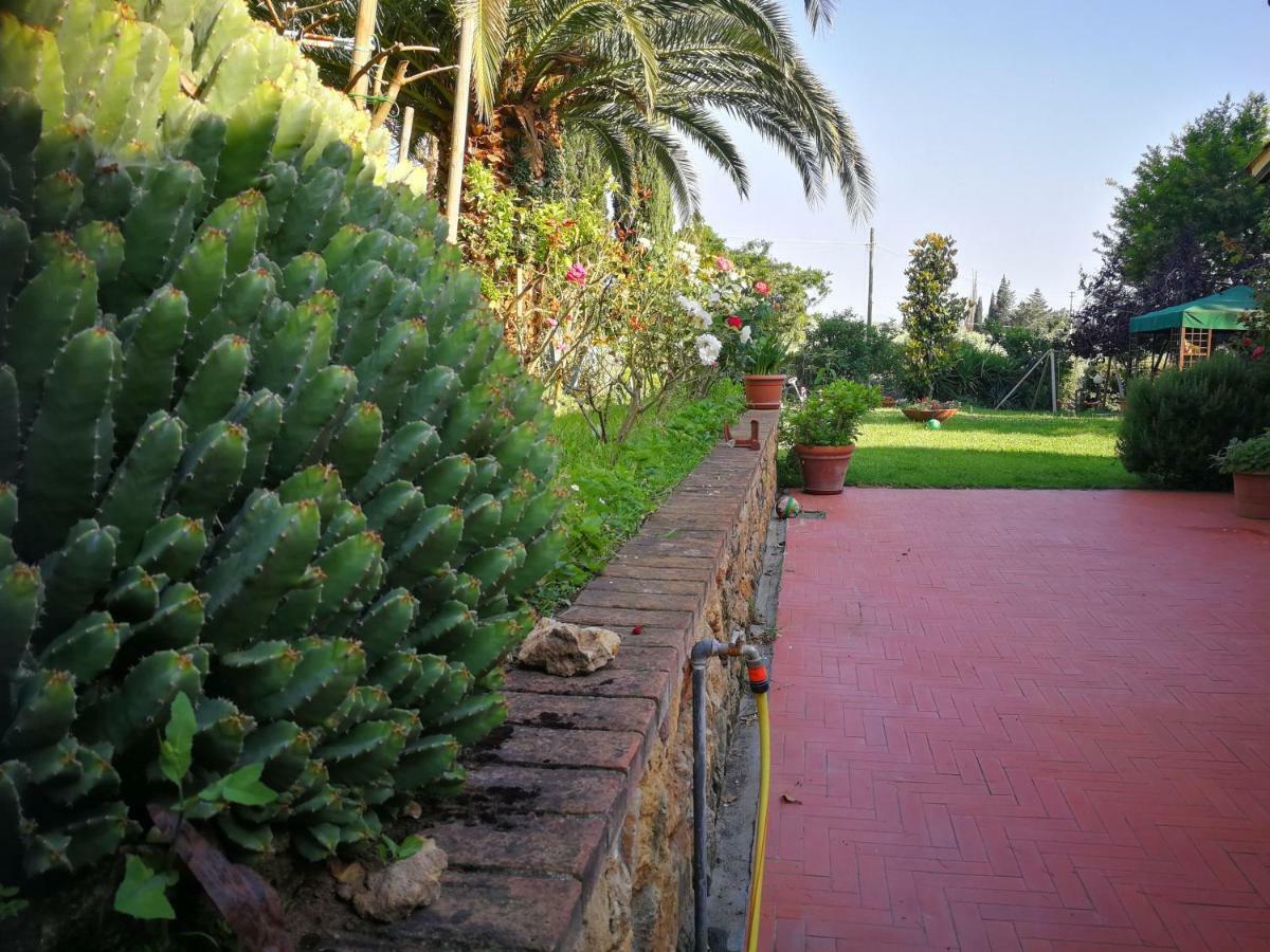 Vacanze Verde Mare - Beggi Casale Marittimo Exteriér fotografie